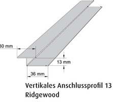 Vertikales Anschlussprofil S13